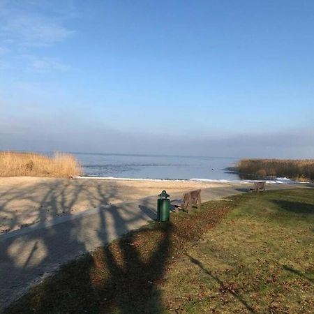 Ferien-Bungalow Im Seebad Ueckermuendeot Bellin Exteriér fotografie
